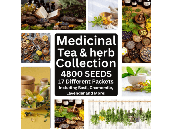 Medicinal and Tea Herb Seeds Collection - 4800 Seeds