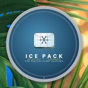 Ice Pack Add-On for Plant Shipping – Keep Your Plant Cool & Safe in Transit